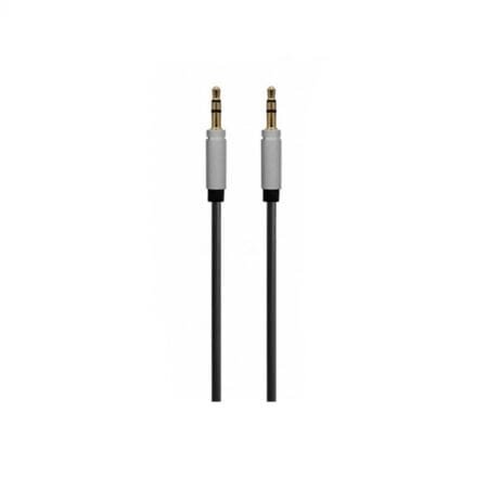 Remax 3.5 AUX Audio Cable (RL-L100)