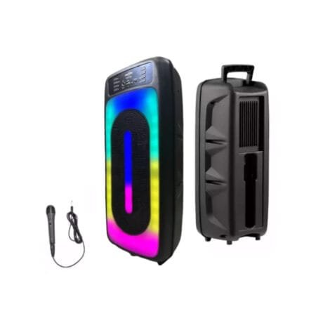 GTS-1556 Super Bass 6.5X2 Inch Karaoke Wireless Bluetooth Speaker with Microphone