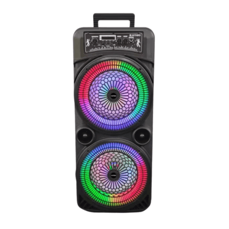 Kimiso QS-2210 Speaker