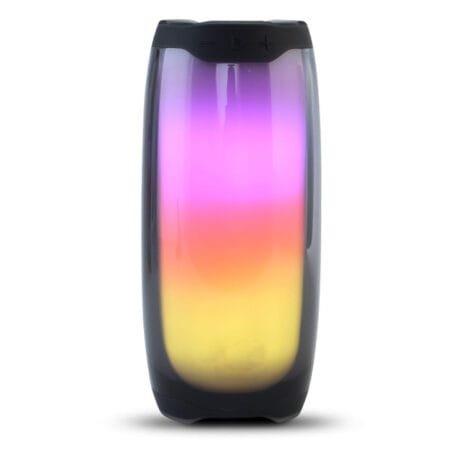 Pulse 4 Wireless Portable Speaker